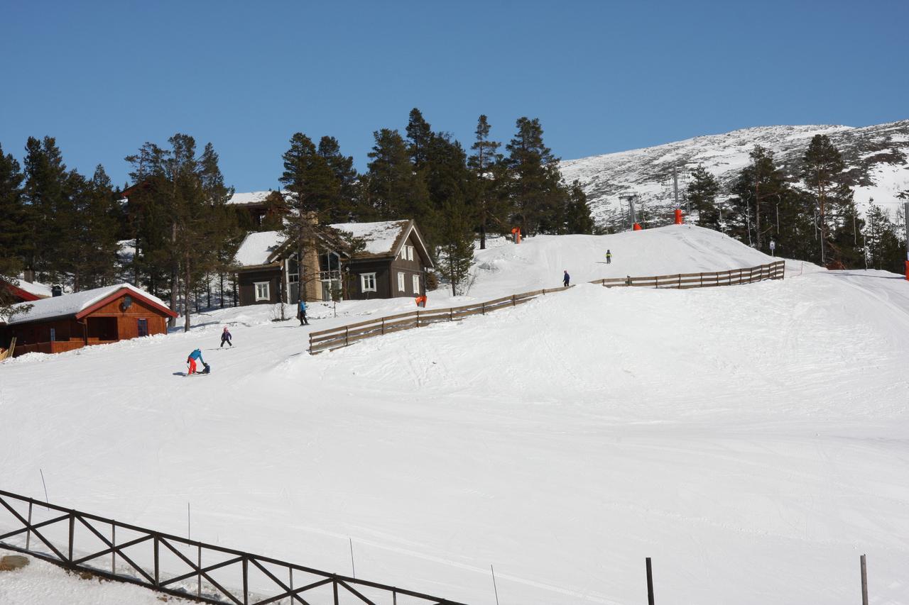 Lemonsjo Fjellstue Og Hyttegrend Randsverk Exterior foto