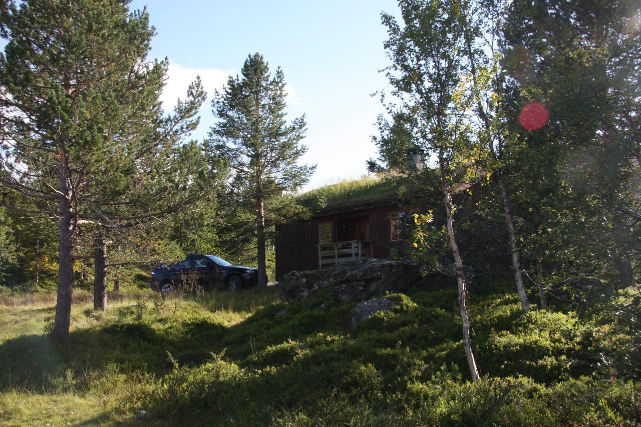 Lemonsjo Fjellstue Og Hyttegrend Randsverk Exterior foto